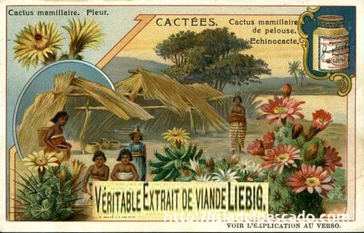 isla del pescado