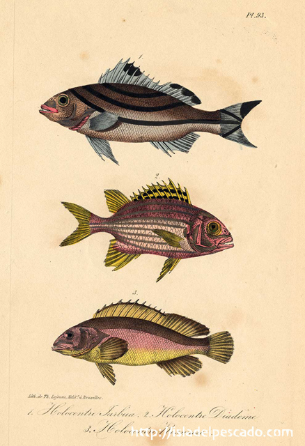 isla del pescado